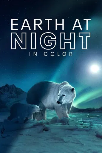 Earth at Night in Colour