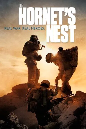 The Hornet\'s Nest