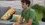 Episode Thumbnail