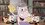 Episode Thumbnail