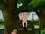 Episode Thumbnail