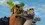 Episode Thumbnail