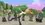 Episode Thumbnail
