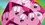 Episode Thumbnail