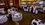Episode Thumbnail