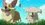 Episode Thumbnail