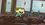 Episode Thumbnail