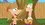 Episode Thumbnail