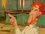 Episode Thumbnail