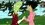 Episode Thumbnail