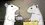 Episode Thumbnail
