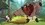 Episode Thumbnail