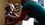 Episode Thumbnail