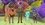 Episode Thumbnail