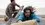 Episode Thumbnail