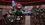 Episode Thumbnail