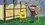 Episode Thumbnail