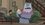 Episode Thumbnail