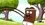 Episode Thumbnail