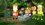 Episode Thumbnail