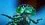 Episode Thumbnail