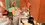 Episode Thumbnail