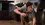 Episode Thumbnail