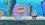 Episode Thumbnail