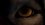Episode Thumbnail