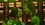 Episode Thumbnail