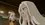 Episode Thumbnail