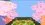 Episode Thumbnail