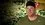 Episode Thumbnail