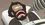 Episode Thumbnail