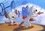 Episode Thumbnail