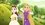 Episode Thumbnail