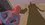 Episode Thumbnail