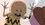 Episode Thumbnail