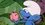 Episode Thumbnail