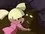 Episode Thumbnail