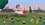 Episode Thumbnail