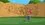 Episode Thumbnail