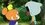 Episode Thumbnail
