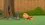 Episode Thumbnail