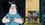 Episode Thumbnail